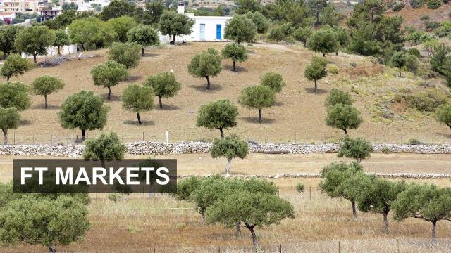 Embedded thumbnail for Are growth-linked bonds a good idea?